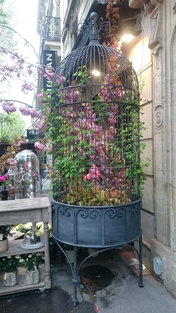 Volière décorative (75)